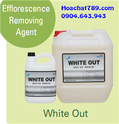 Efflorescence Removing Agent White Out
